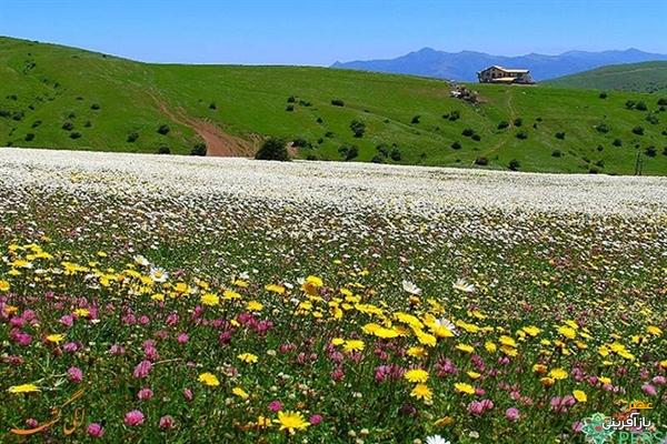 شناسایی 22 اثر طبیعی در «فندقلو»