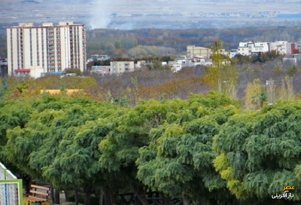 چتر بی‌مهری بر فراز باغ شهر ایران 