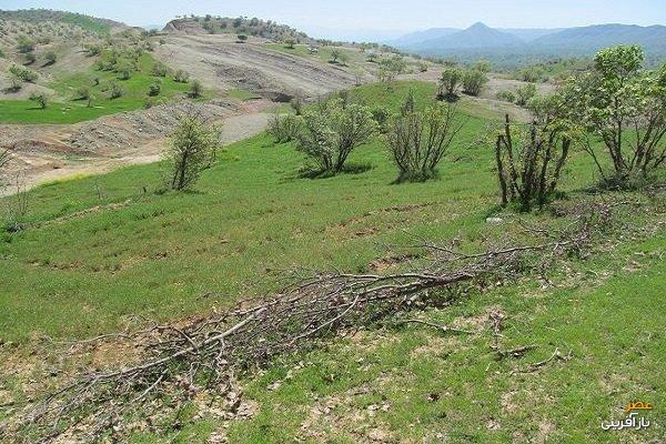 حفاظت از اراضی ملی گامی مهم برای دفاع از حقوق شهروندی