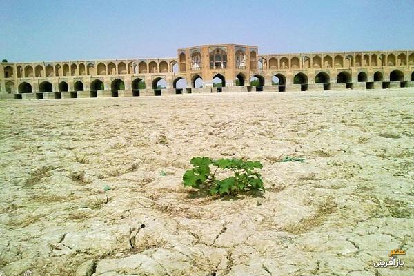 زاینده رود، هفته اول ماه بهمن بازگشایی می‌شود